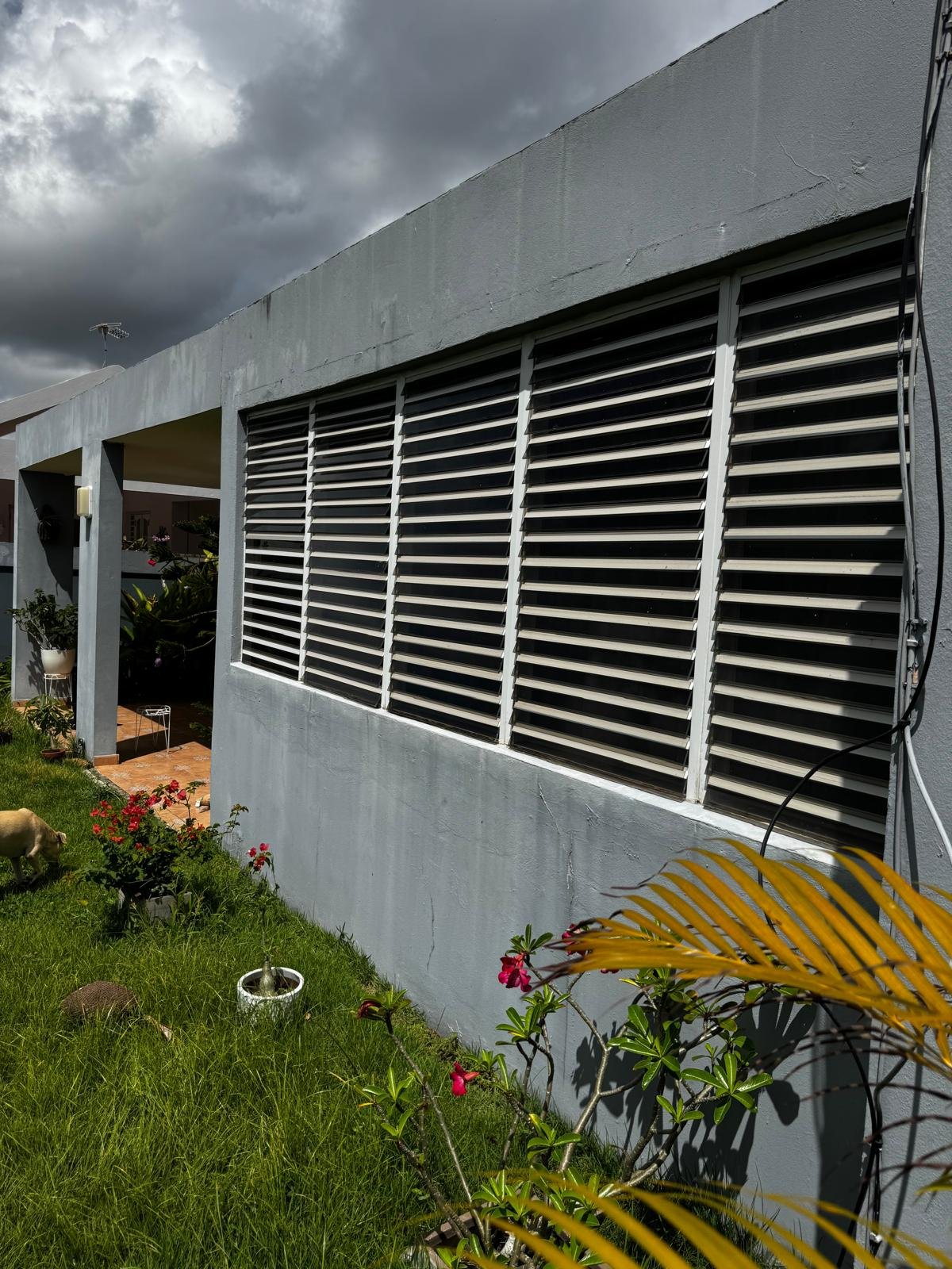 Proyecto